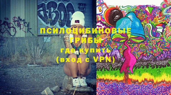 мдпв Вязьма