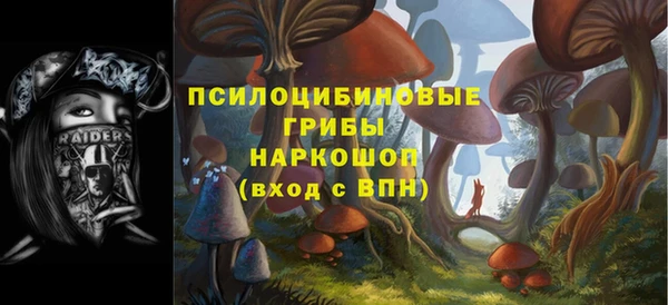 ECSTASY Володарск